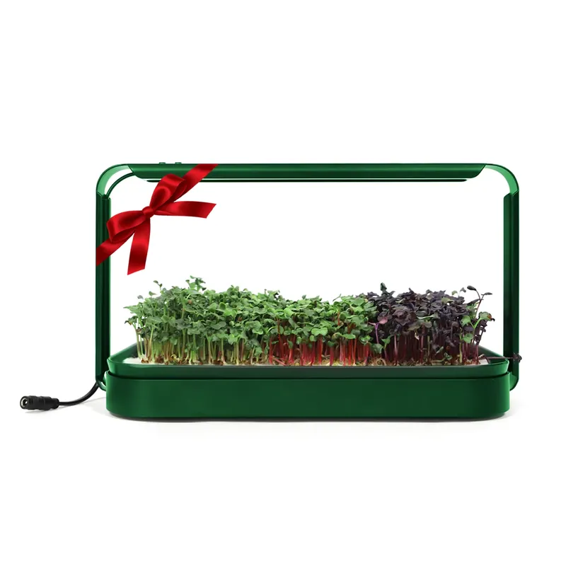 Smart Garden Ideas - أفكار هدايا عيد الميلاد: مجموعة أدوات