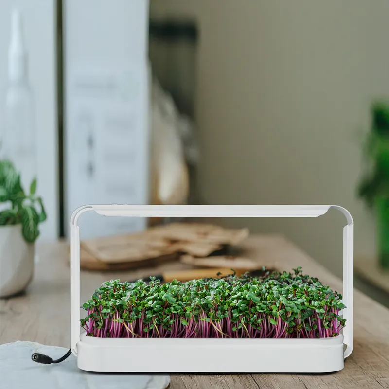 Smart Garden Ideas - حديقة أعشاب داخلية مع إضاءة للنمو،