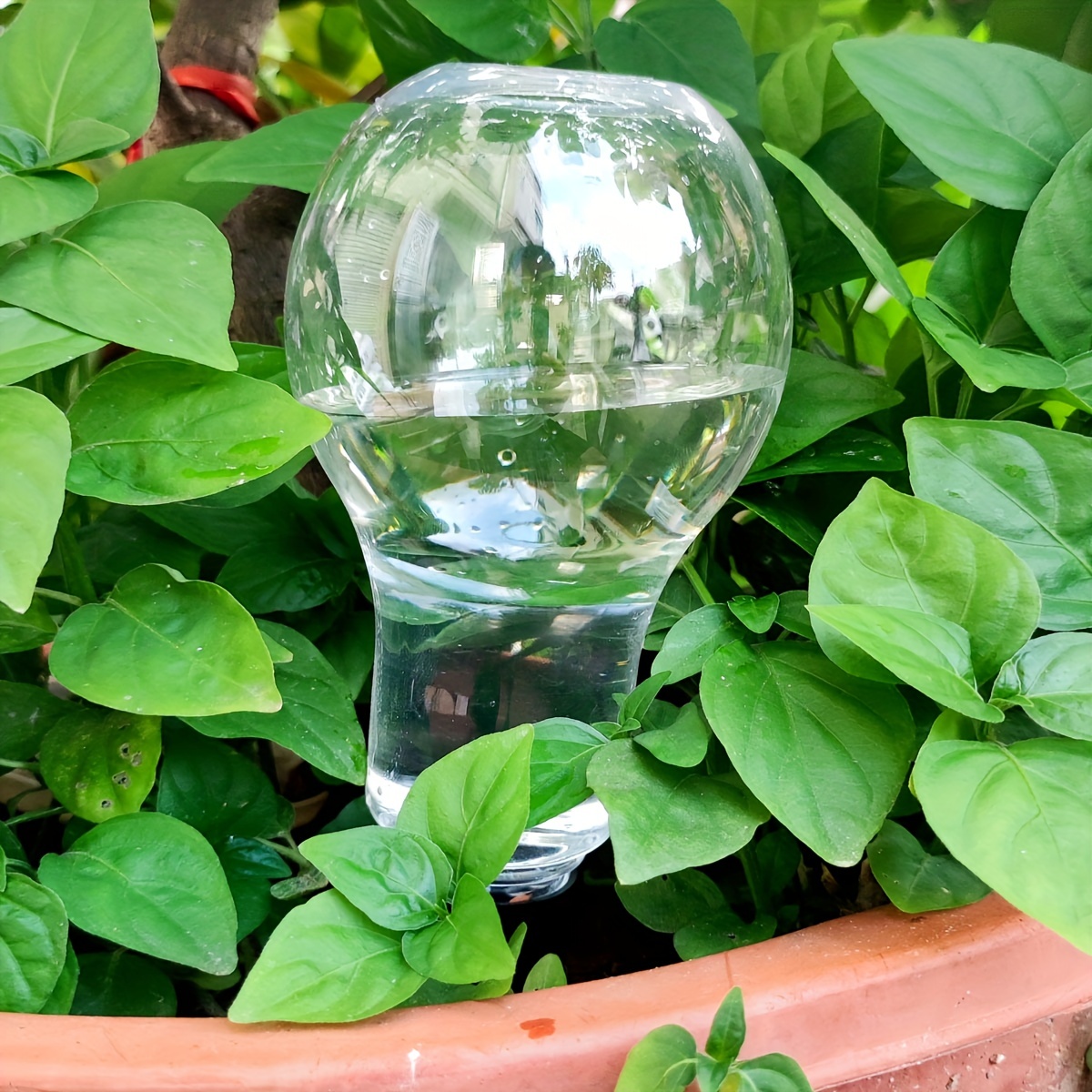 أداة ري أوتوماتيكية للحديقة ،  - مراجعة Smart Garden Kit وسعره