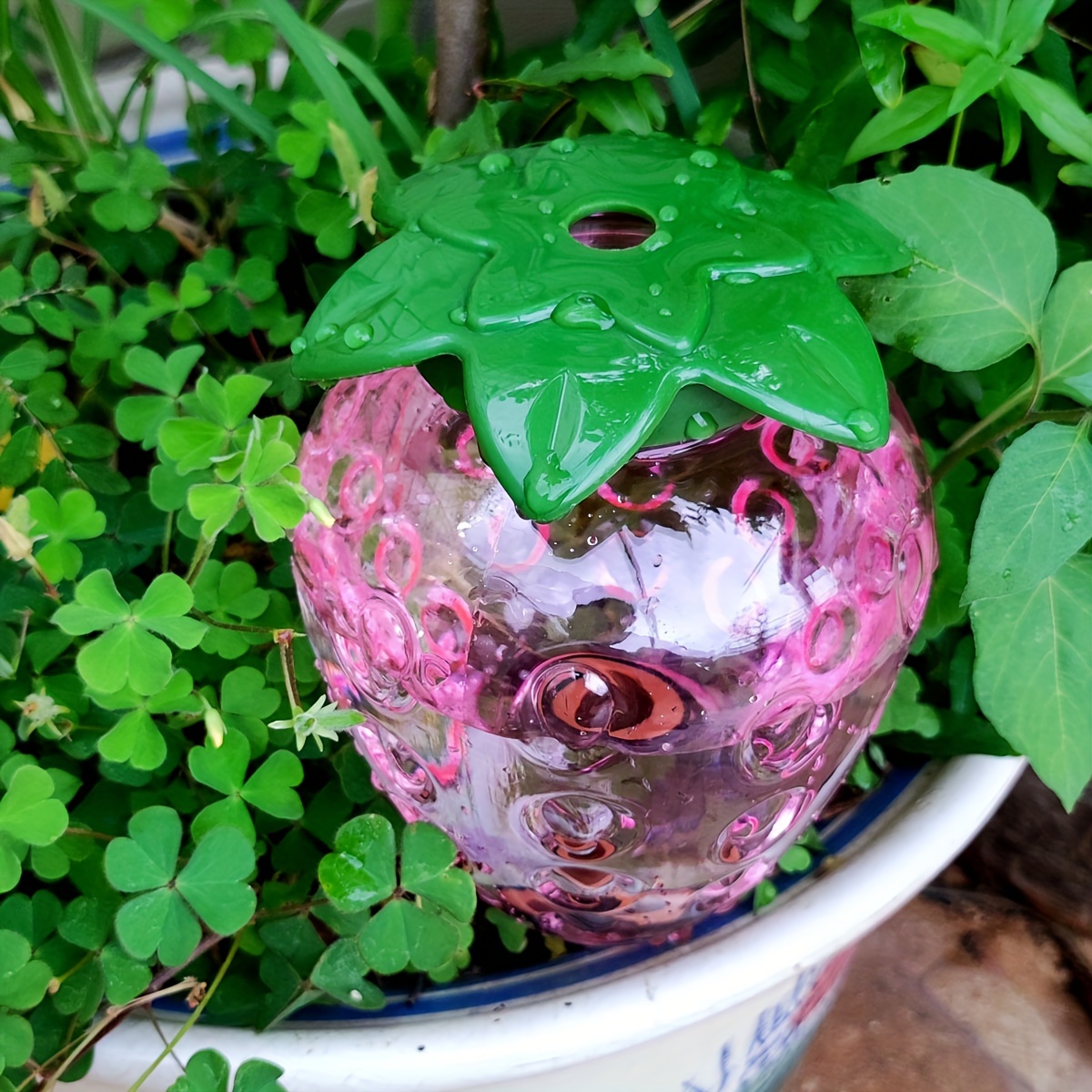 نظام ري بالتنقيط أوتوماتيكي دا - مراجعة Smart Garden Kit وسعره