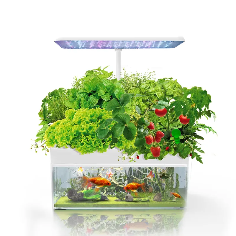 نظام IGS-70 للزراعة المائية ال - مراجعة Smart Led Garden وسعره