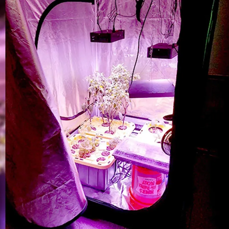خيمة داخلية للزراعة المائية من - مراجعة Grow Tent Complete Kit وسعره