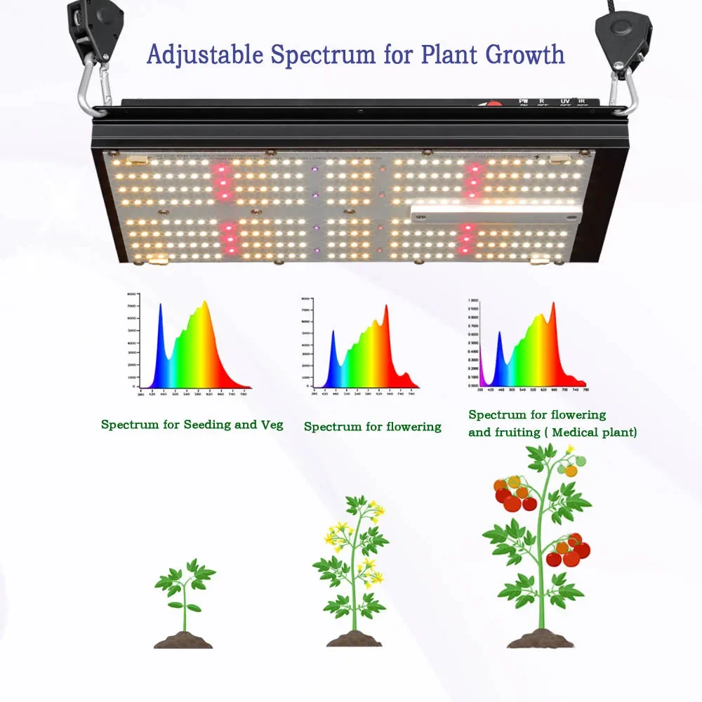 BAVAGREEN نظام الزراعة المائية - مراجعة Grow Tent Complete Kit وسعره