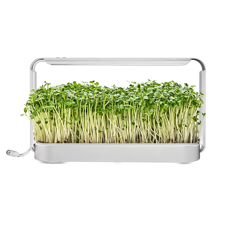 حديقة أعشاب داخلية مع إضاءة لل - مراجعة Smart Garden Ideas وسعره