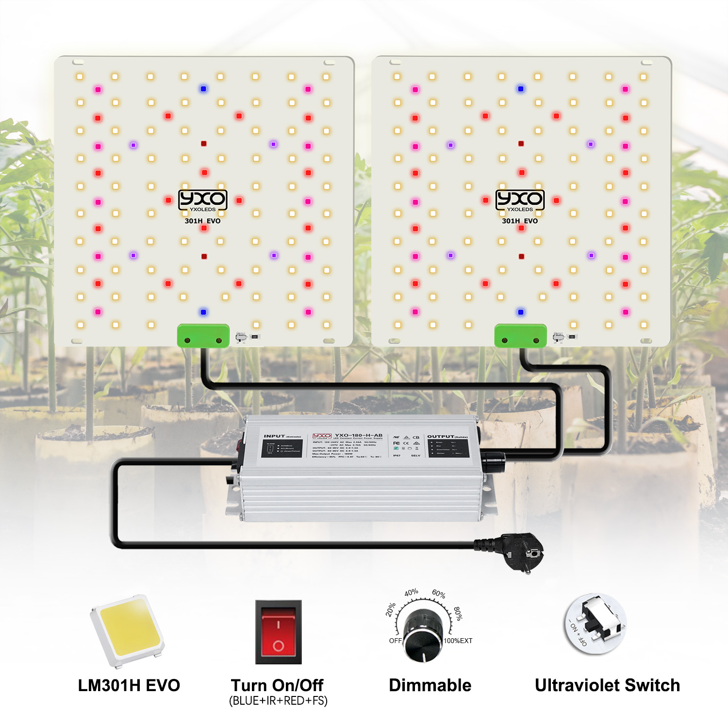 85 واط 180 واط LM301H EVO الكم - مراجعة Grow Tent Complete Kit وسعره