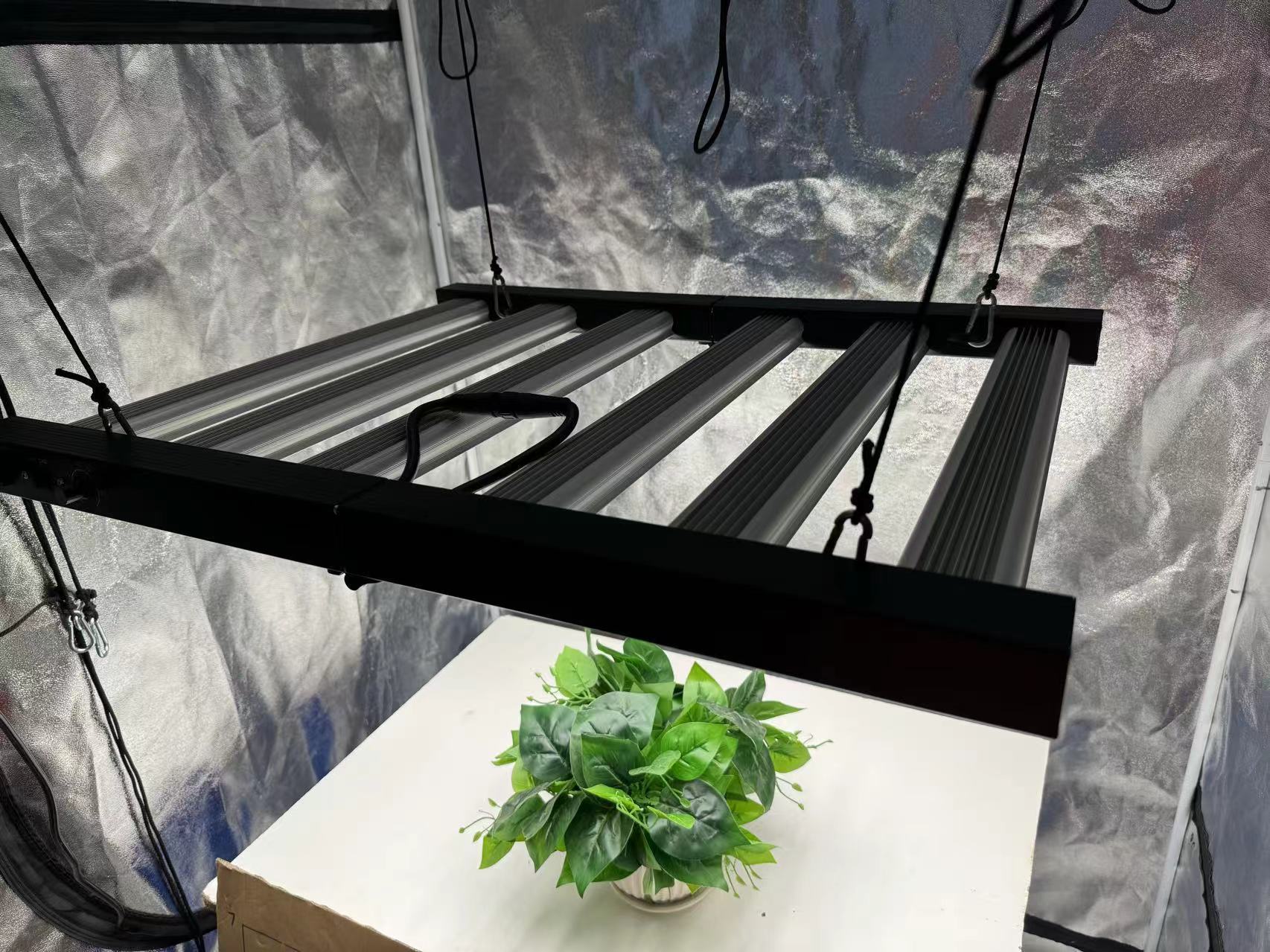 مجموعة خيمة زراعية 4x4 كاملة،  - مراجعة Grow Tent Complete Kit وسعره
